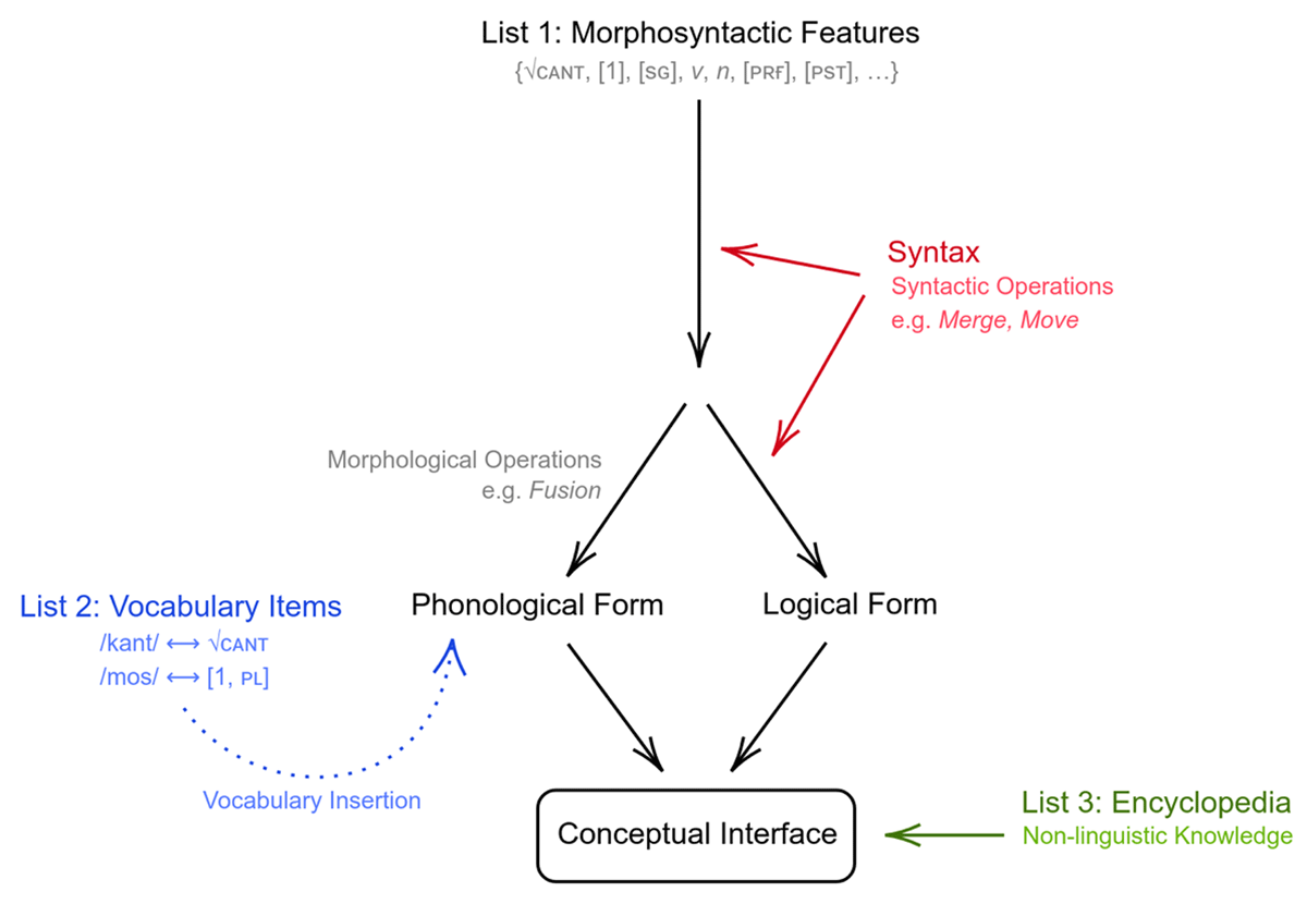 Morphological and Syntactical Variation and Change in Catalan